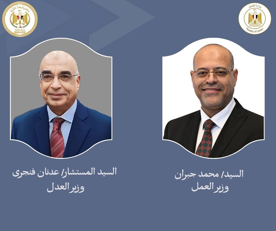 وزير القوى العامله 